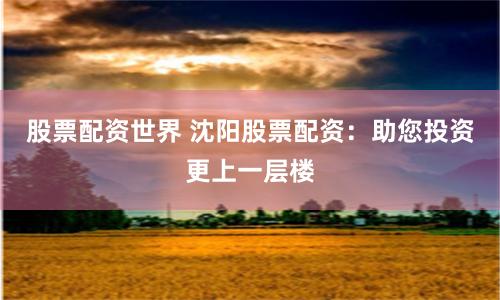 股票配资世界 沈阳股票配资:助您投资更上一层楼