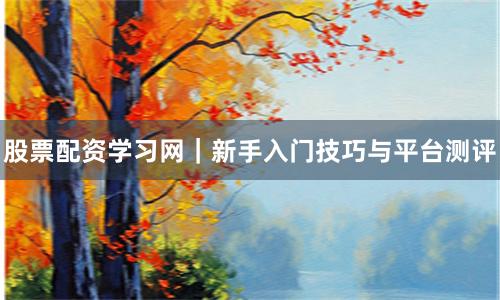 股票配资学习网｜新手入门技巧与平台测评